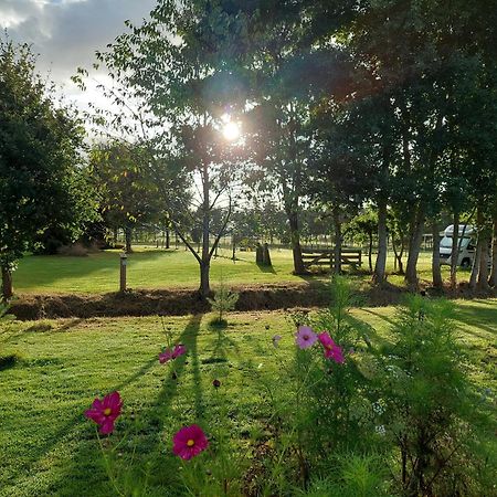 Erfgoed De Boemerang - Chalets Meppen Εξωτερικό φωτογραφία